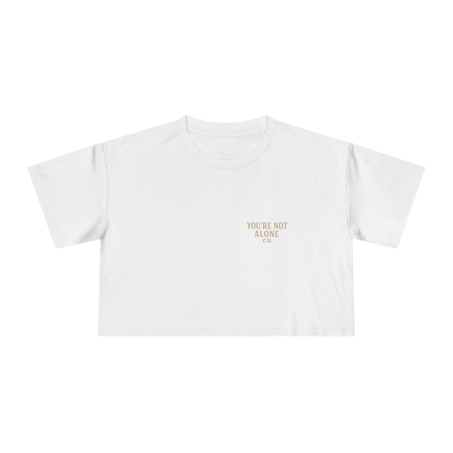 FREAKYTAIL Steel & Soul Women's Crop Tee