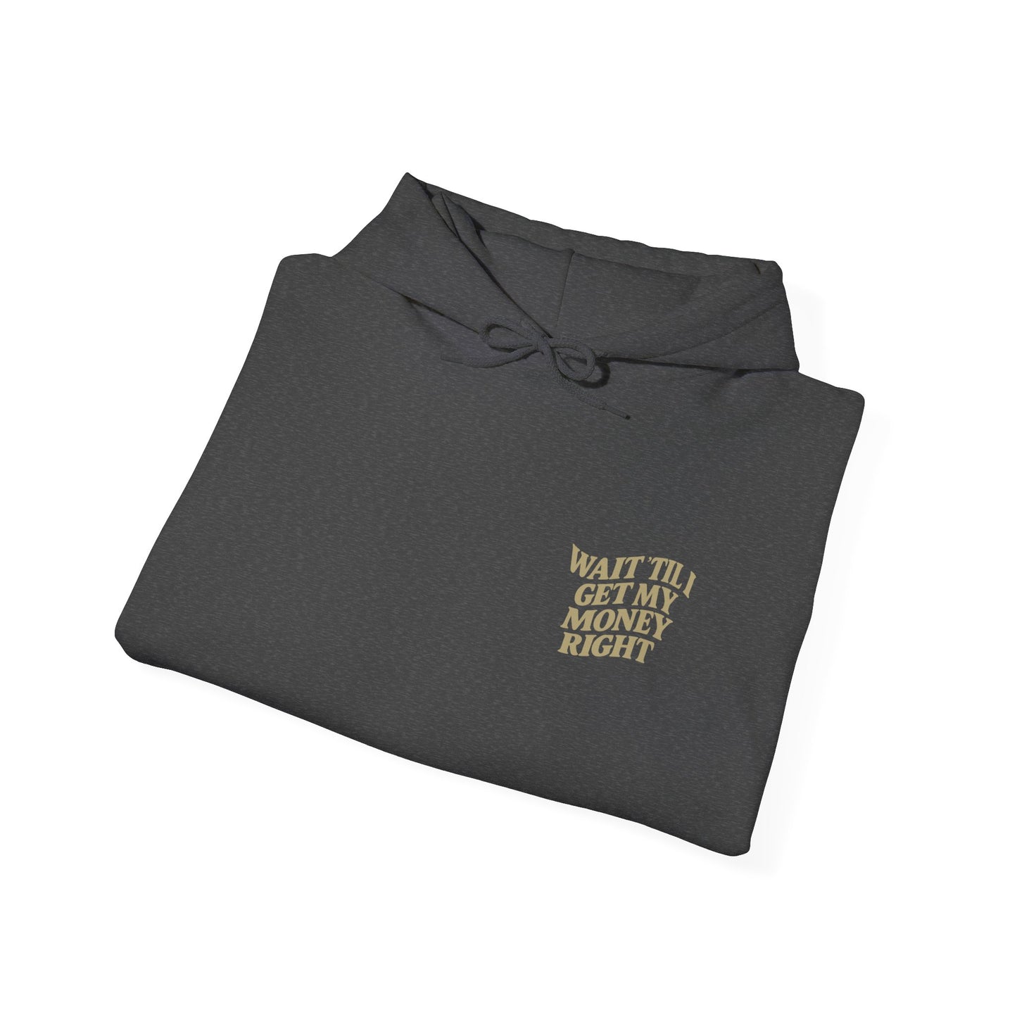 Wait 'Til My Money Right Hoodie